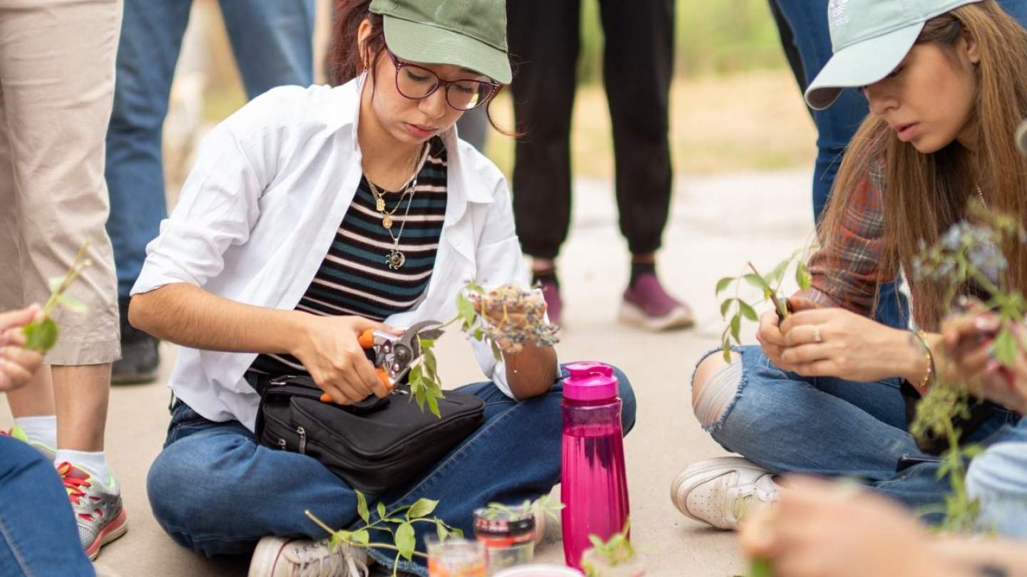 Promueve Creson acciones para la restauración del ecosistema regional
