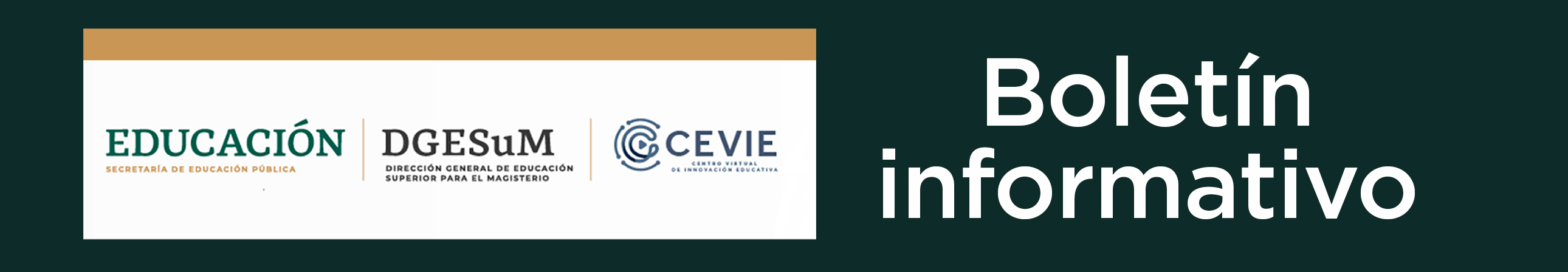 https://www.cevie-dgesum.com/index.php/boletines-dda